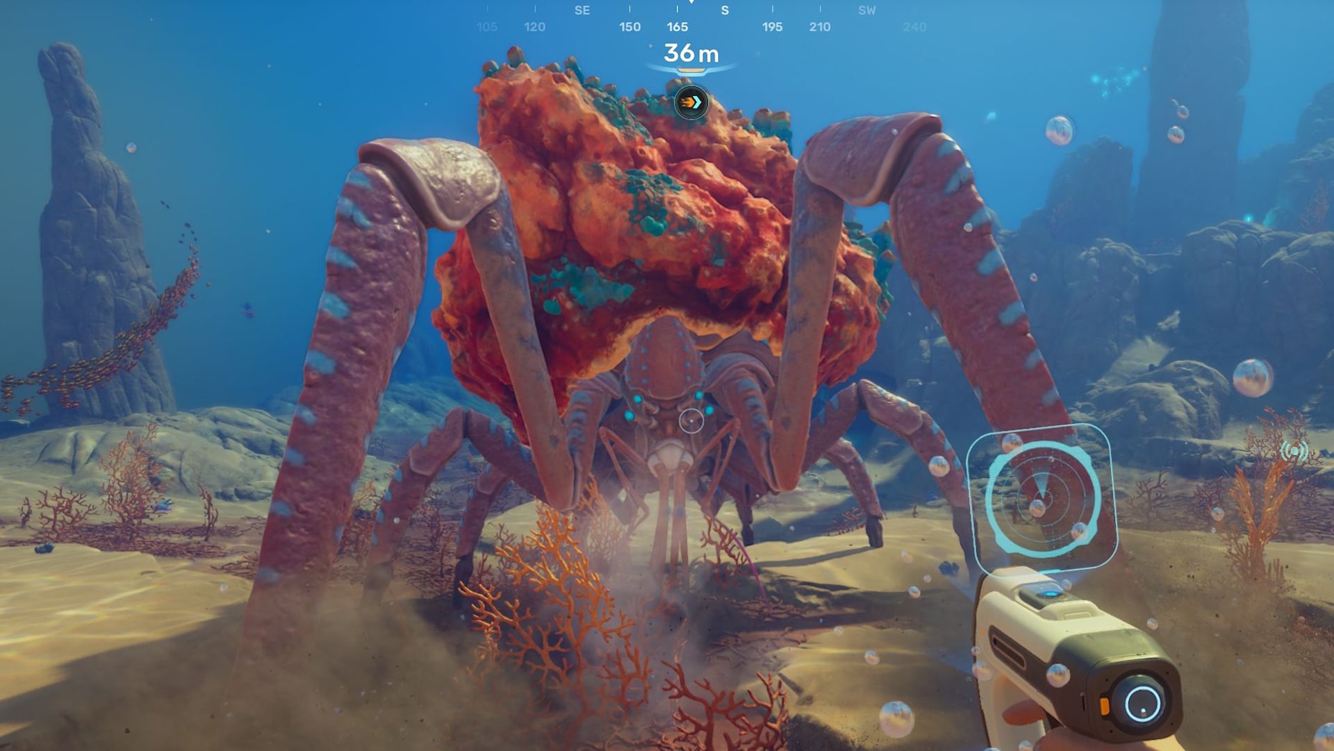 Subnautica Crab